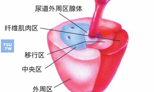 山莨菪碱副作用-山莨菪碱禁忌症网-分享山莨菪碱片禁忌事项，山莨菪碱副作用知识库